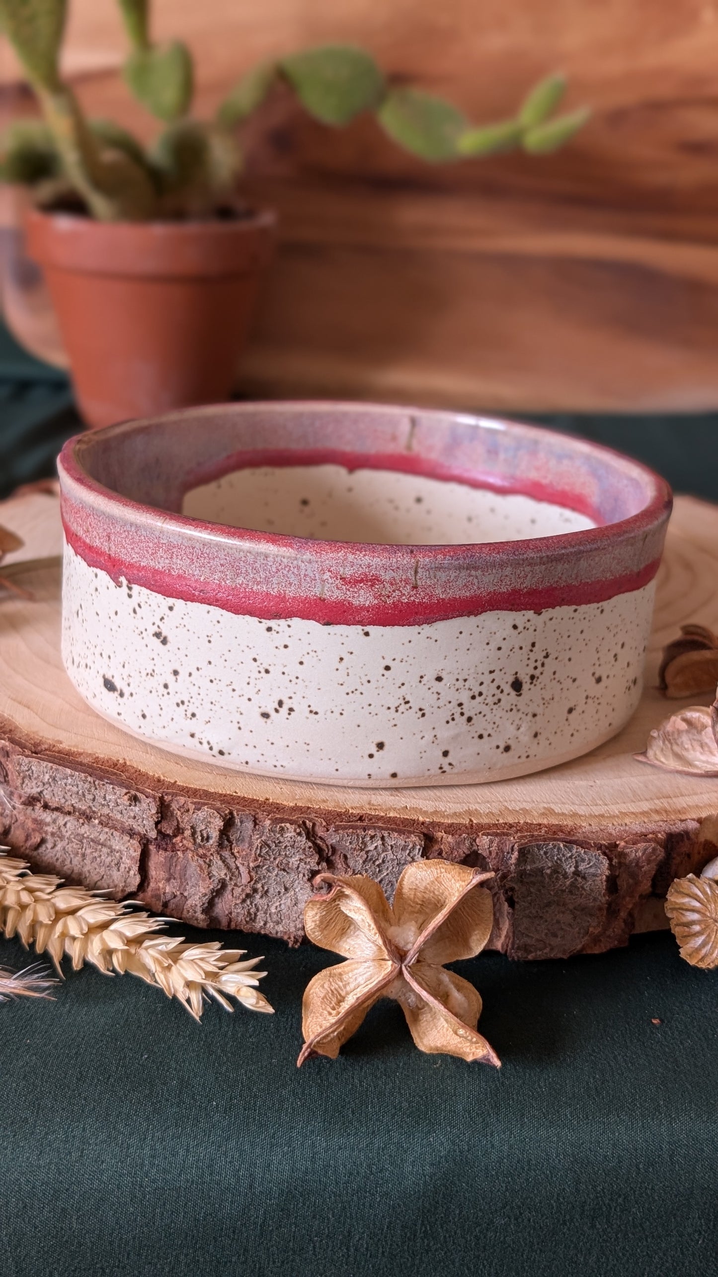 Handmade Ceramic Dog Bowl, Speckled with Drippy Glaze 4