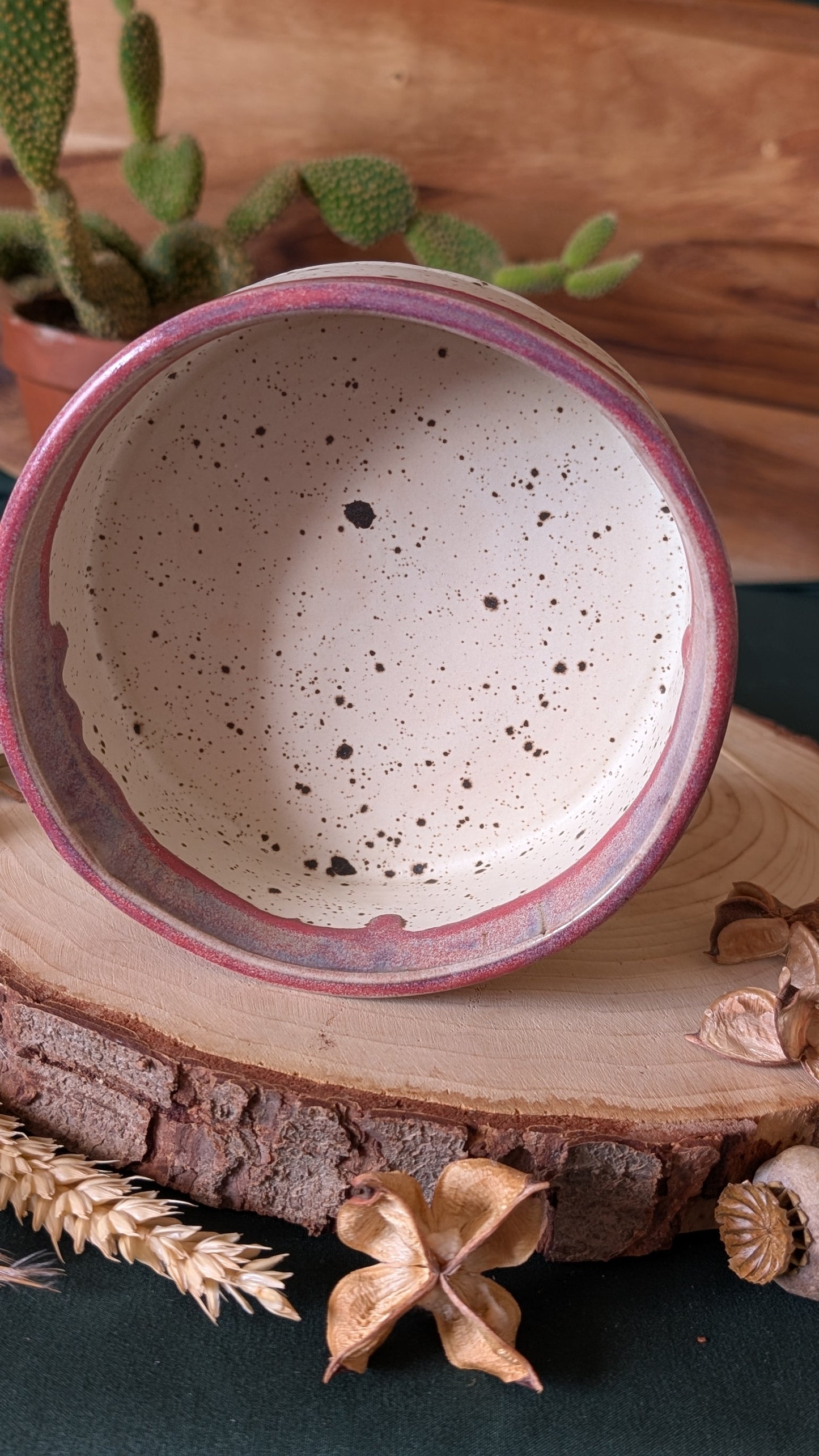 Handmade Ceramic Dog Bowl, Speckled with Drippy Glaze 4