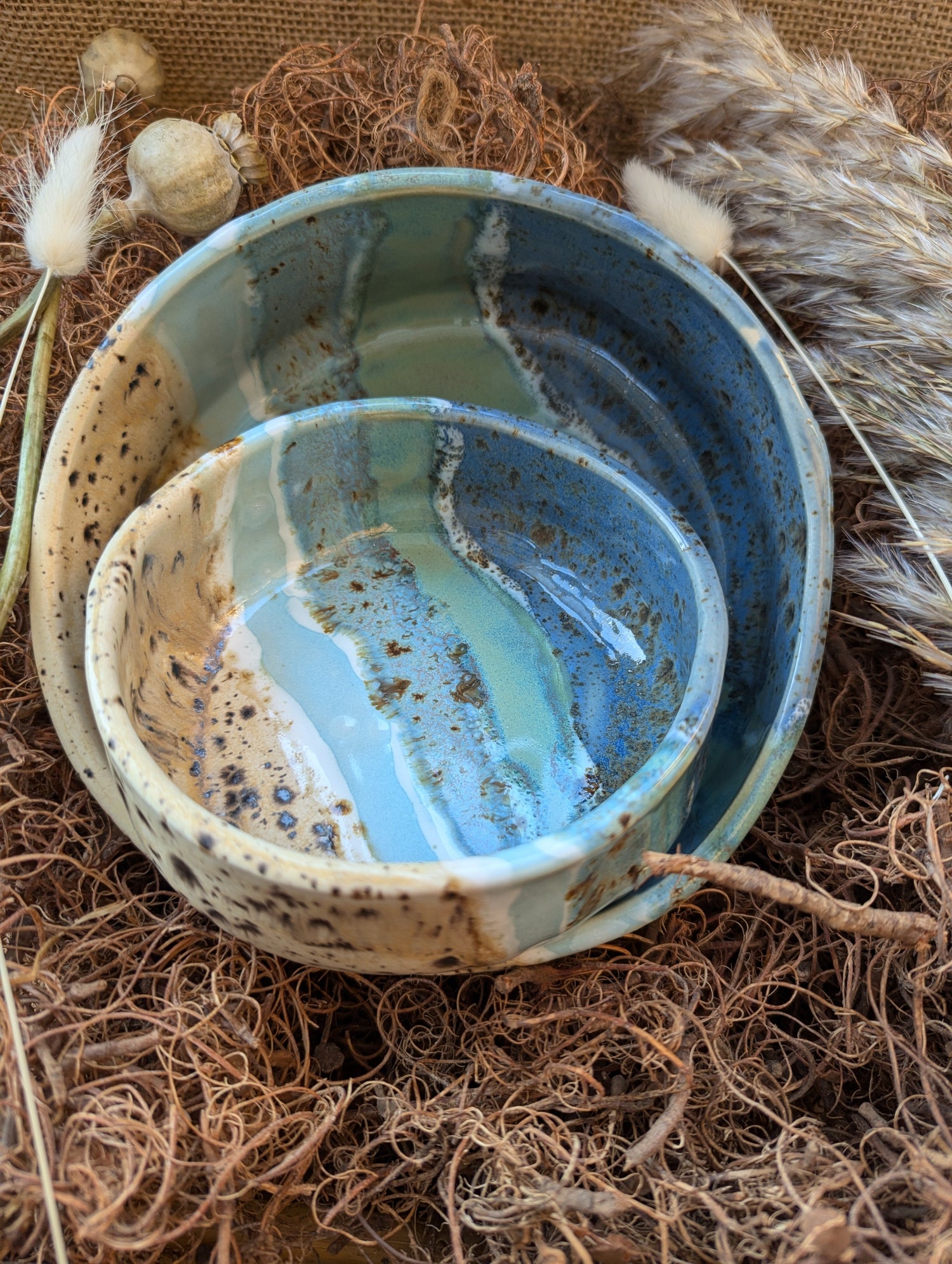Pet Bowls