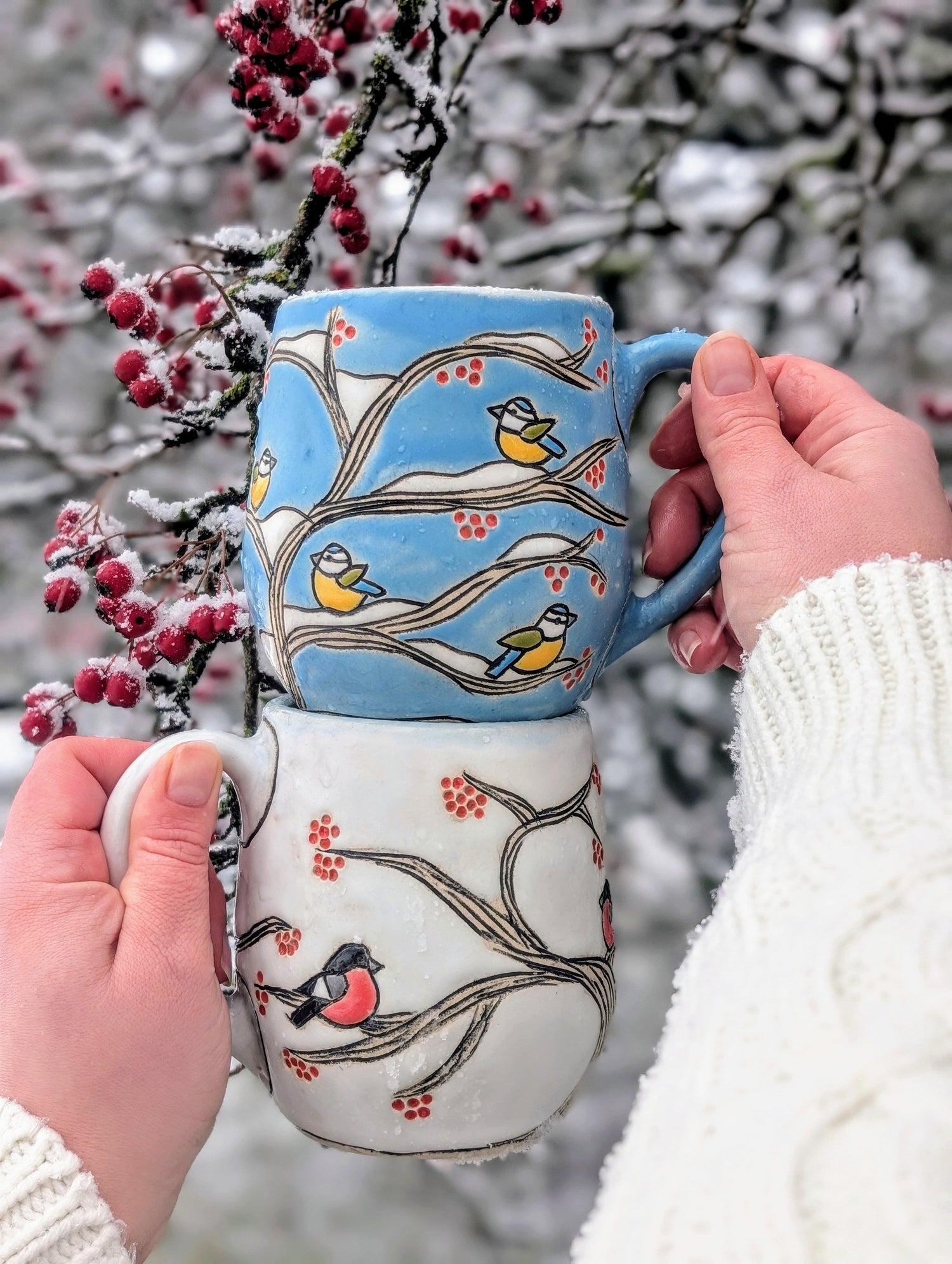 NEW Winter Birds Mug Collection