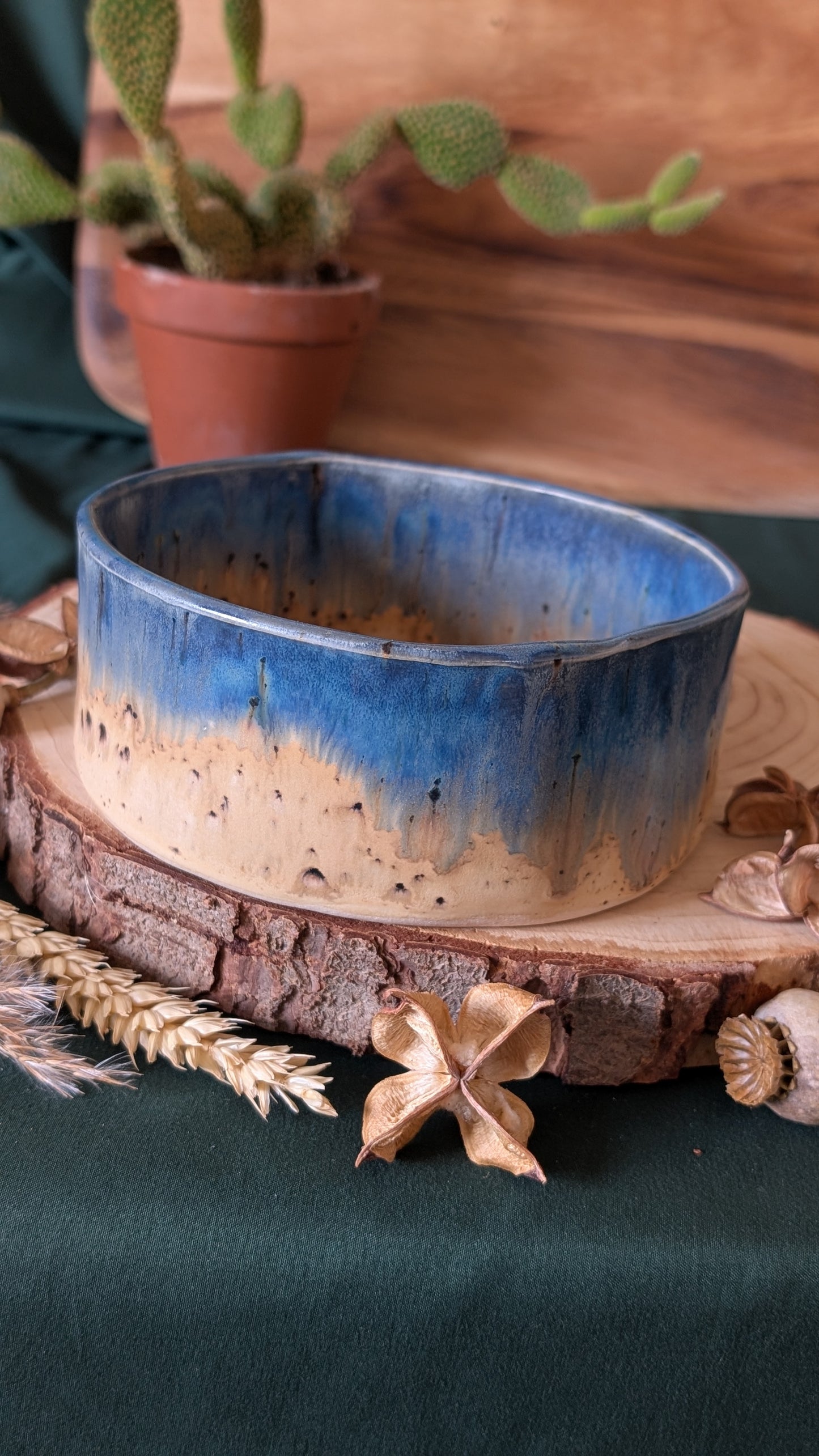 Handmade Ceramic Dog Bowl, Speckled with Drippy Glaze 6