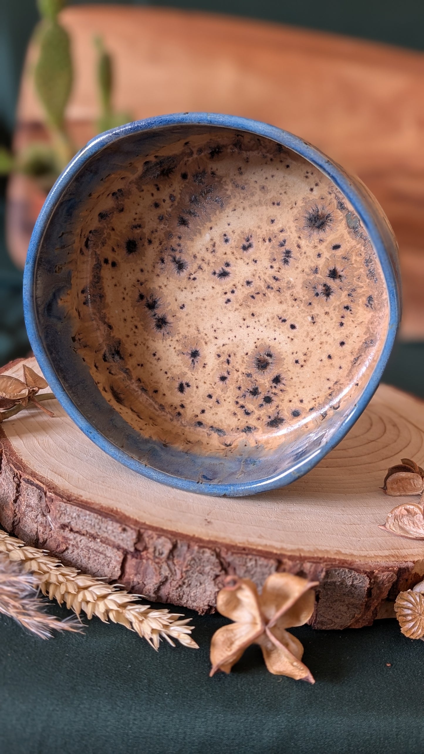 Handmade Ceramic Dog Bowl, Speckled with Drippy Glaze 6