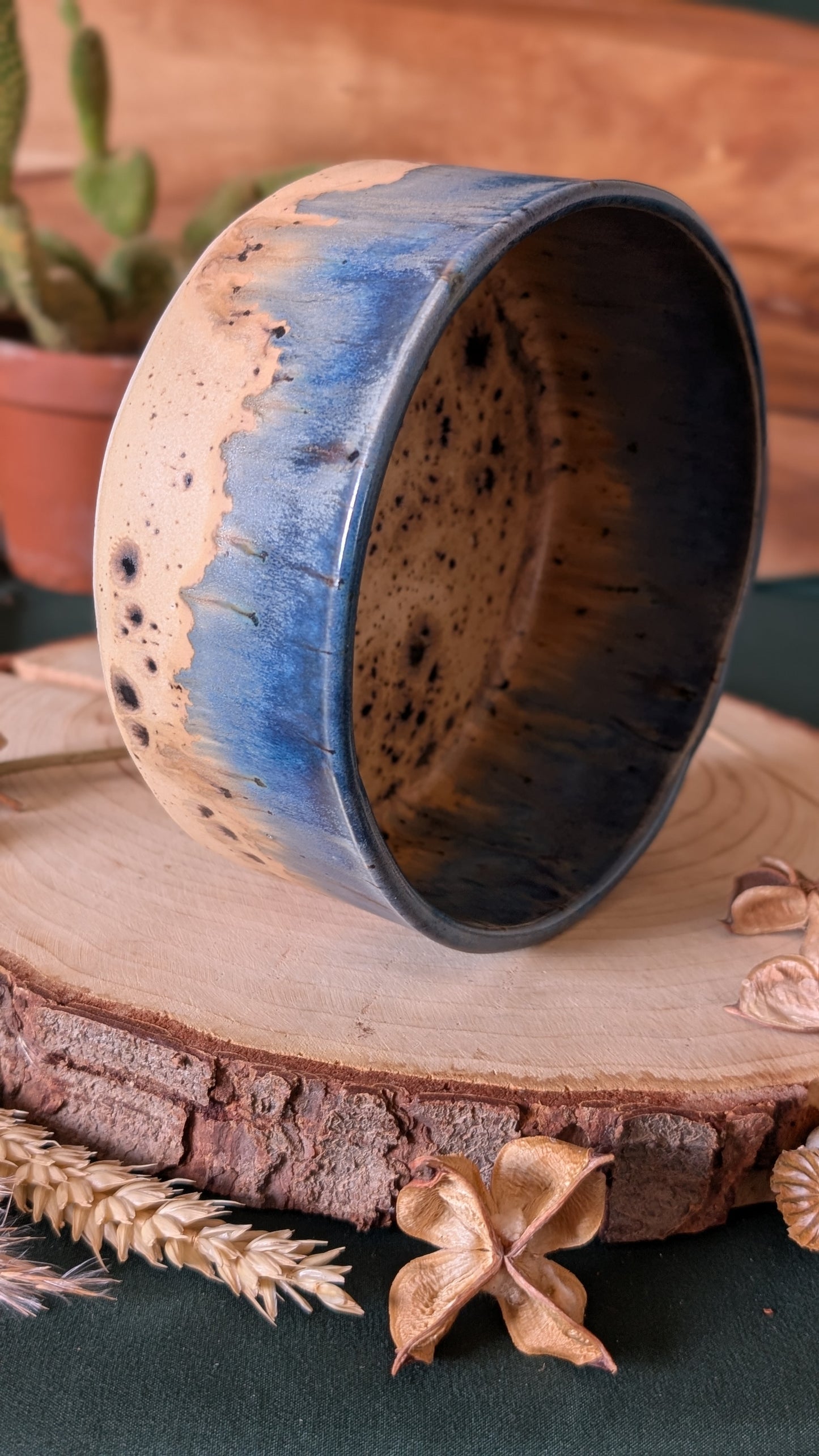 Handmade Ceramic Dog Bowl, Speckled with Drippy Glaze 6