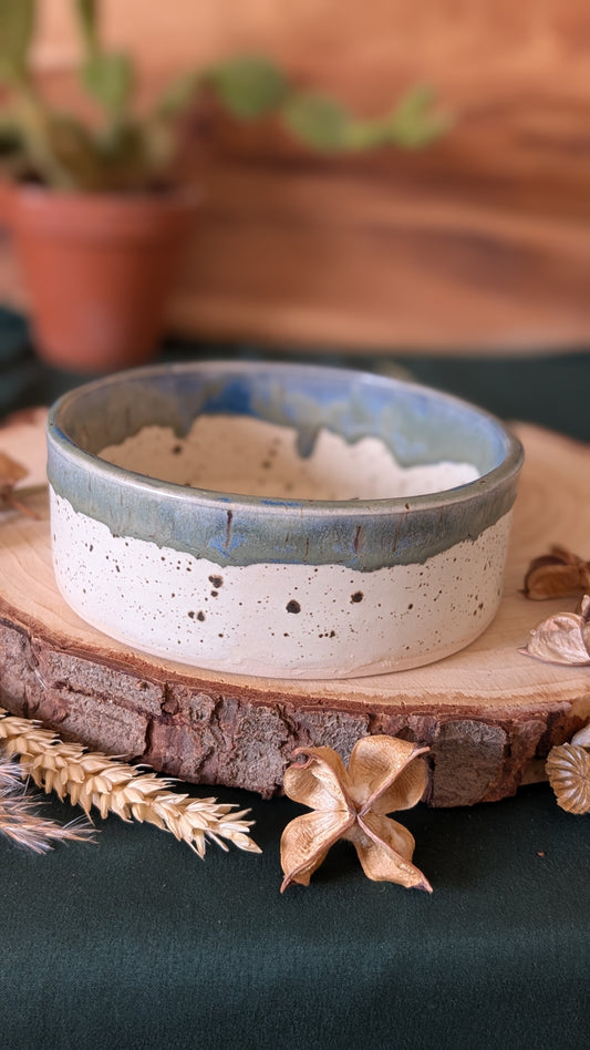Handmade Ceramic Dog Bowl, Speckled with Drippy Glaze 2