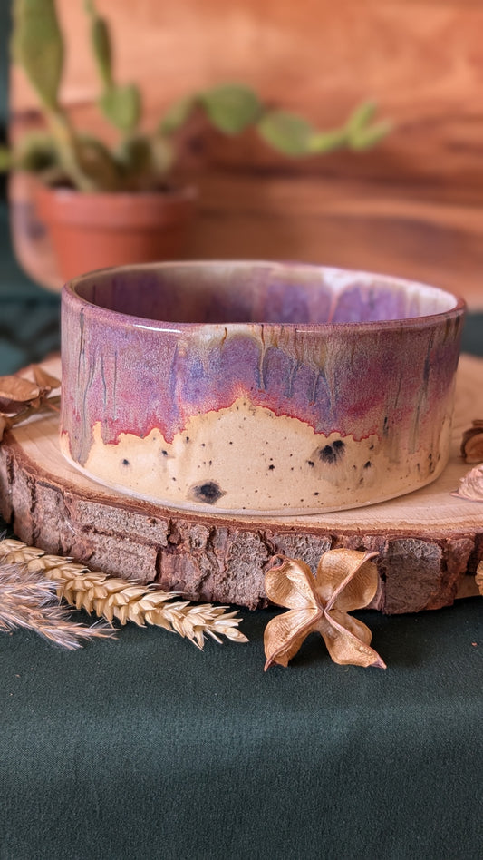 Handmade Ceramic Dog Bowl, Speckled with Drippy Glaze 5