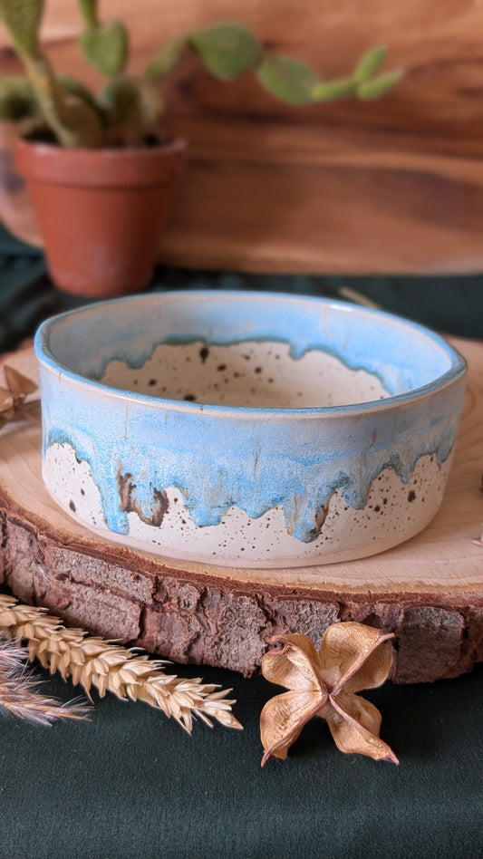 Handmade Ceramic Dog Bowl, Speckled with Drippy Glaze 3