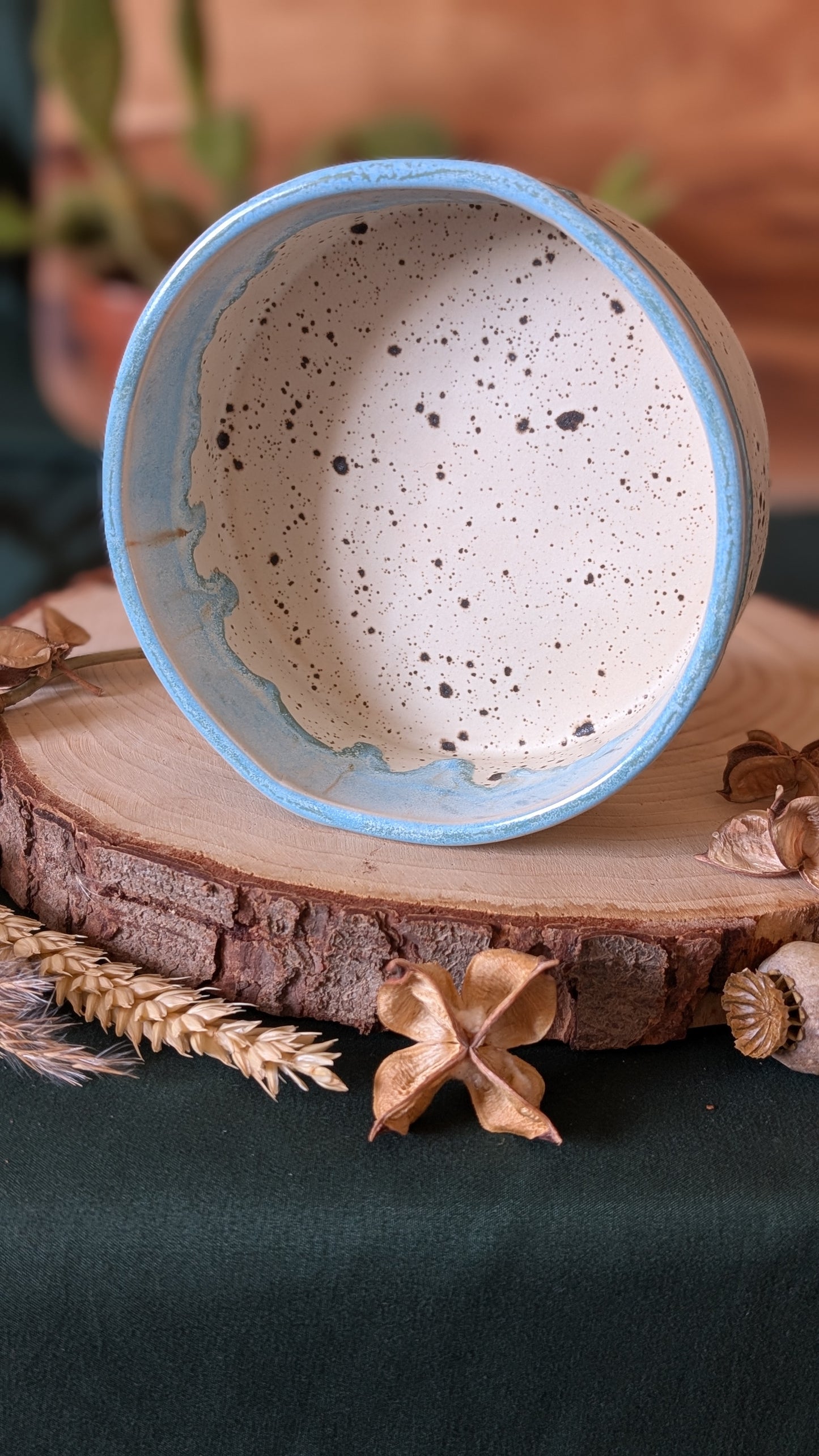 Handmade Ceramic Dog Bowl, Speckled with Drippy Glaze 3