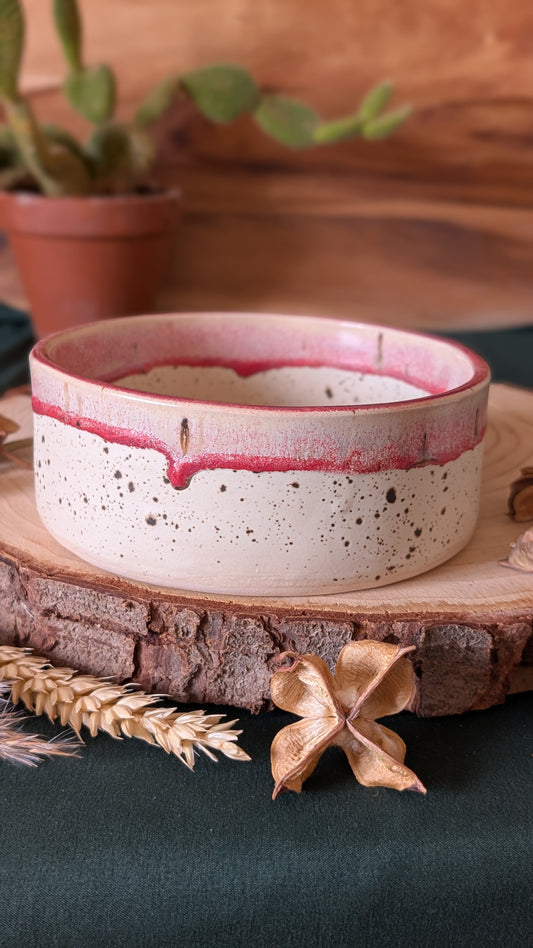 Handmade Ceramic Dog Bowl, Speckled with Drippy Glaze